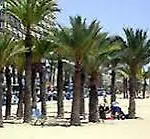 Residencia Bristol * Benidorm
